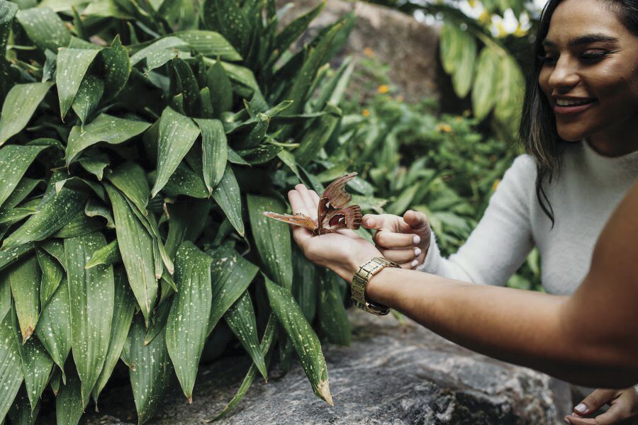 Butterfly Conservatory.jpg